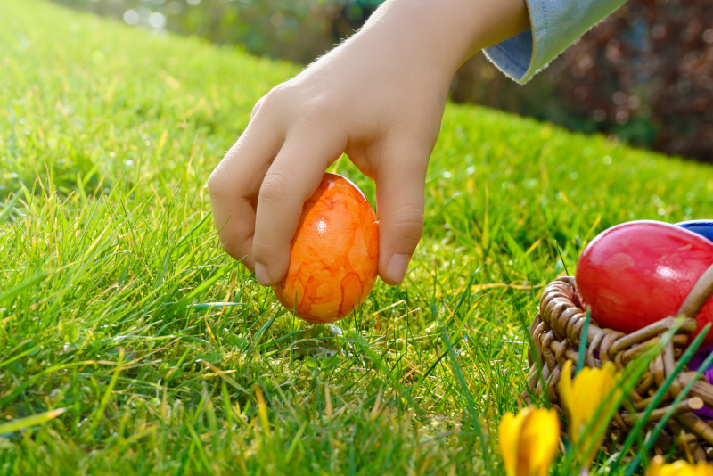 Eine Kinderhand hebt ein Osterei aus dem Gras auf.